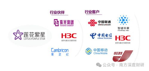 從調味品到AI新勢力 蓮花控股業績領跑同行，科技版圖再落信息技術咨詢服務關鍵一子